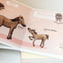 He Whangote Mammals-Illustrated Publishing-Matakana Pharmacy